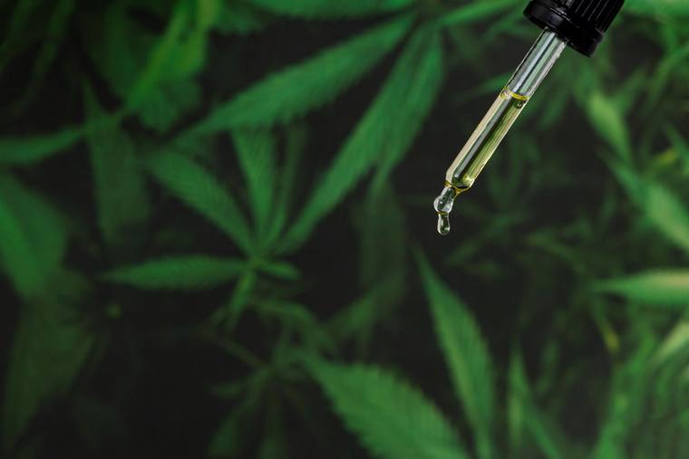 Cannabis Medicinal